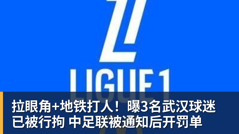 被索赔266万 13岁嗨球学员改打羽毛球 孙继海被狂批:恶霸+SX协会 - PG电子官方网站 - PG电子(中国)